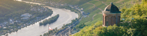 Der Ausblick vom Collisturm in Zell Mosel