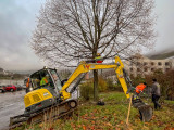 Umpflanzung der Linde an der Verbandsgemeinde