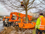 Umpflanzung der Linde an der Verbandsgemeinde
