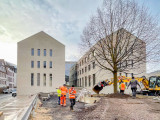 Umpflanzung der Linde an der Verbandsgemeinde