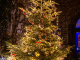 Baum Nr. 23 - Scheids Bauernmarkt