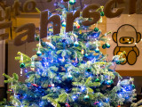 Baum Nr. 24 - Klasse 6D der IGS Zell