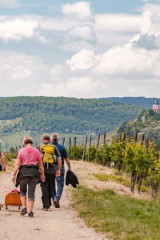 Erlebnisse in Zell - Wandern an der Marienburg