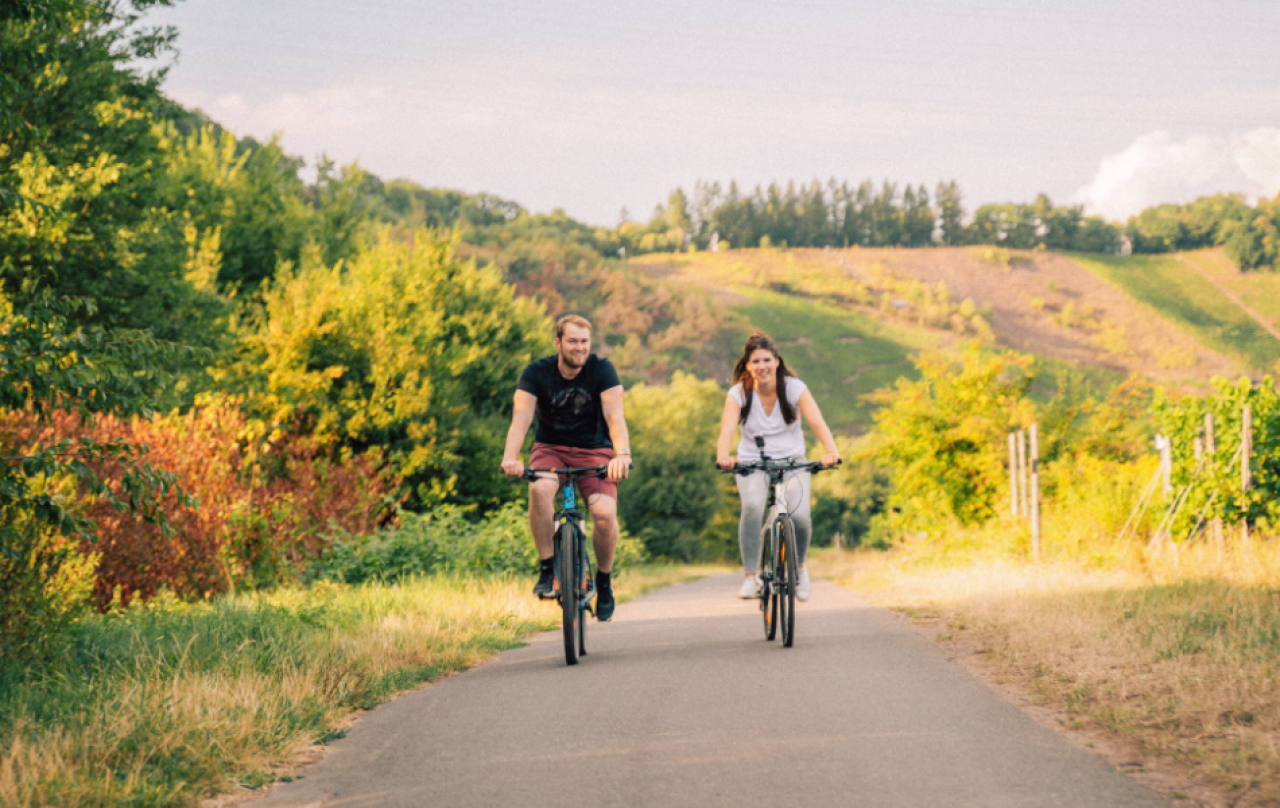 Radfahren entlang der Mosel nahe Zell.