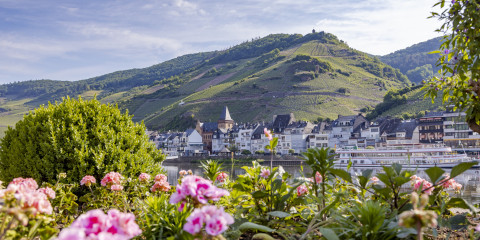 Blick von Kaimt nach Zell durch die Blumen am Moselufer - Foto: Inge Faust