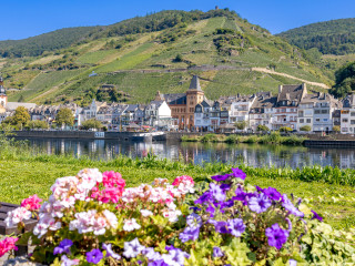 Blick aus Kaimt in Richtung Zell mit Blumen im Vordergrund