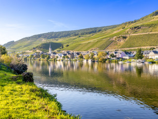 Blick nach Merl vom Kaimter Moselufer