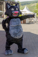 Das Maskottchen der Zeller Schwarze Katz