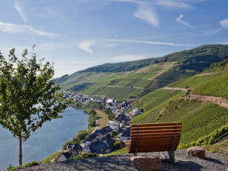 Der Aussichtspunkt Moselkino mit der Ruhebank im Vordergrund - Foto: Inge Faust
