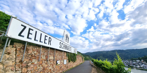 Das Zeller-Schwarze-Katz-Schild in den Weinbergen mit Blick auf Zell