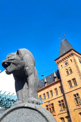 Katzenfigur des Schwarze-Katz-Brunnens mit Rathaus im Hintergrund