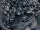 Foto von Marie Claire Karls