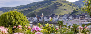 Zell Mosel - Blick von Kaimt auf Zell