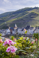 Zell Mosel - Blick von Kaimt auf Zell