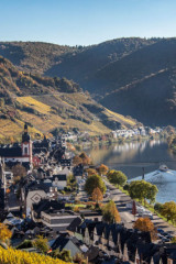 Zell Mosel - Ausblick in den Weinbergen