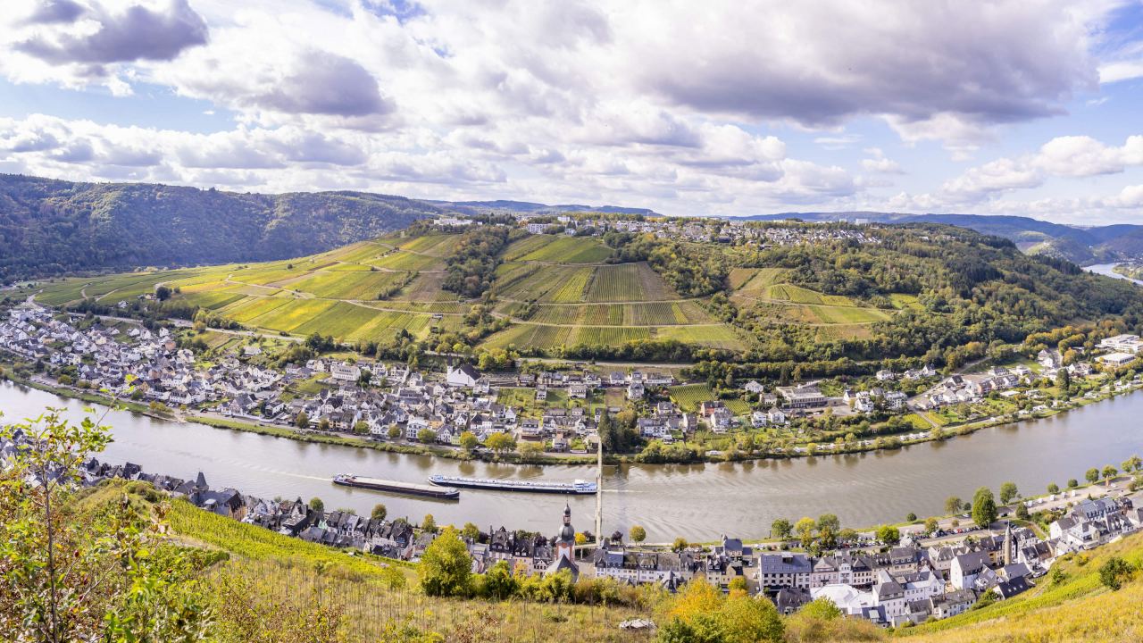 Panoramablick über Zell Mosel und die Stadtteile Kaimt und Barl.