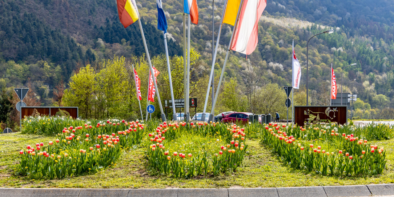 Titelbild 800 Jahre Zell Mosel - Blumen Kaimt.