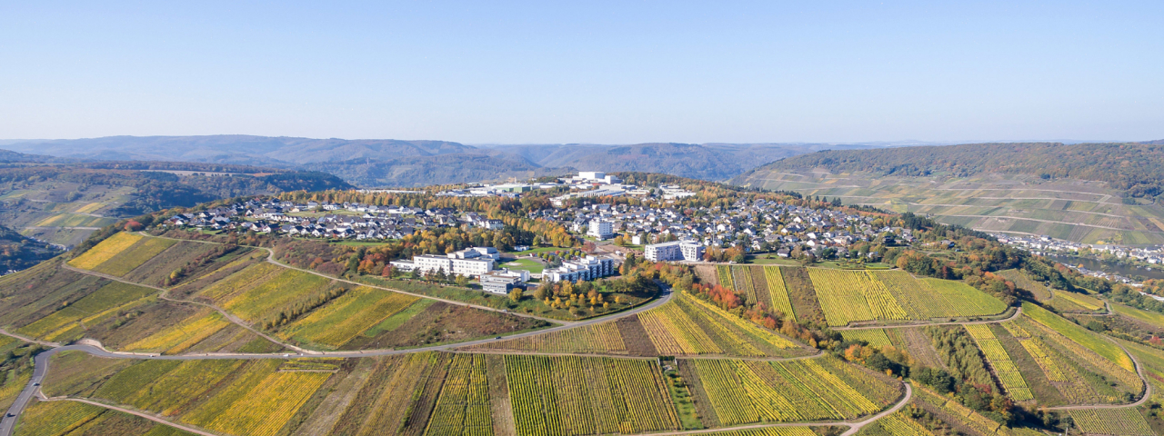 Wohn- und Industriegebiet im Zeller Höhenstadtteil Barl.