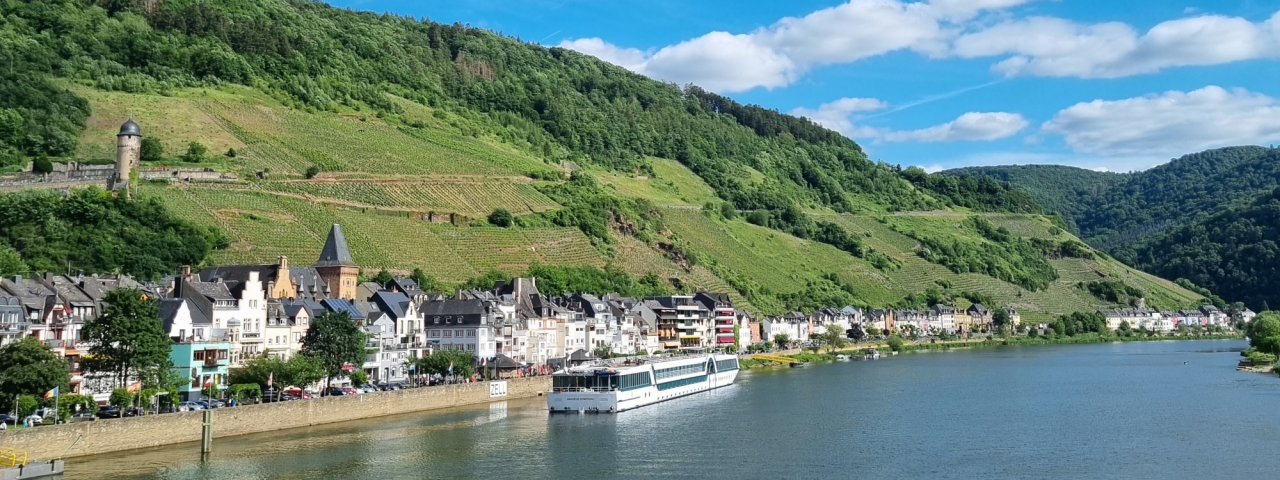 Blick auf Zell an der Mosel.