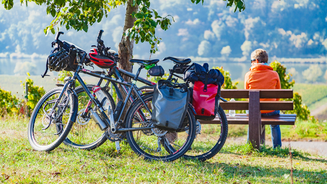 Fahrrad fahren in und um Zell Mosel.