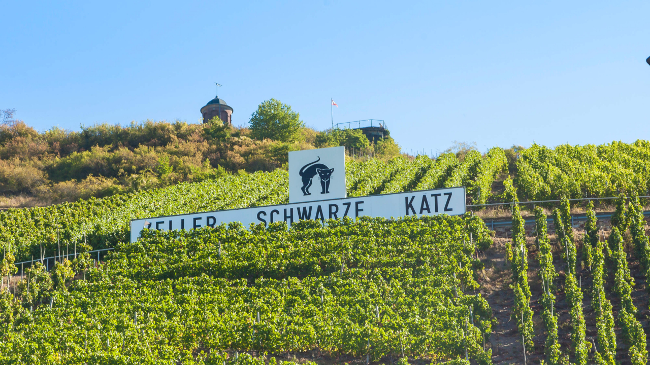 Das Schild der Weinlage Zeller Schwarze Katz in den Weinbergen von Zell.