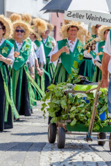 Zell Mosel - die Gruppe der Weinhexen beim Umzug zum Zeller Weinfest