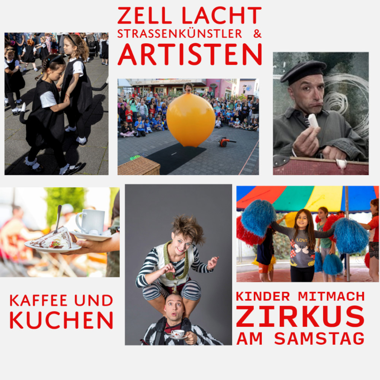 Informationen zum Programm