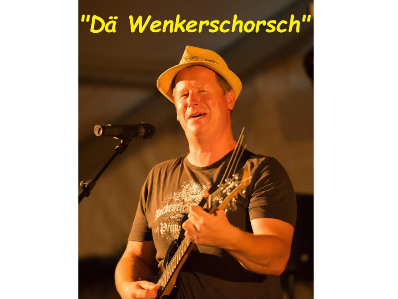 Der Musiker