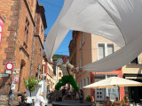 Impressionen vom Zeller Weinfest 2026